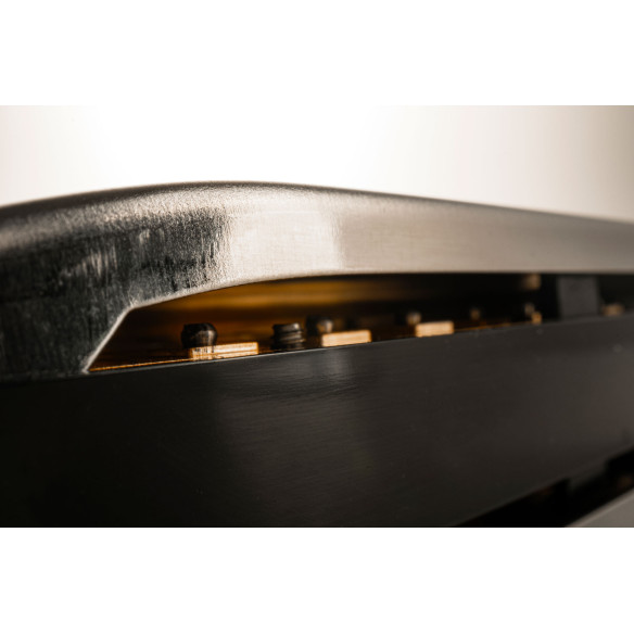 Hohner Armónica SPECIAL 20 NEW C (DO)