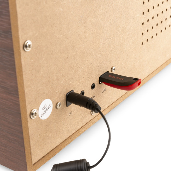 Audizio FRISCO Tocadiscos, DAB  Radio, USB y altavoces