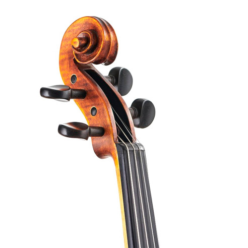 Stentor Messina Violín gama Orquestral 4/4