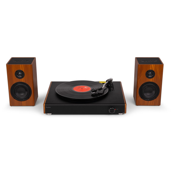 Audizio RP337W Tocadiscos Vintage con altavoces BT inalámbricos, en madera