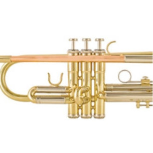 Taylor Collins TCTR-036D Trompeta Lacada tudel oro rosa en Sib 2