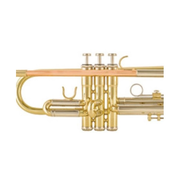 Taylor Collins TCTR-036D Trompeta Lacada tudel oro rosa en Sib