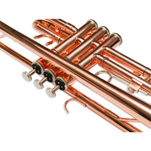 Taylor Collins TCTR-01RB Trompeta Lacada rosa en Sib 2