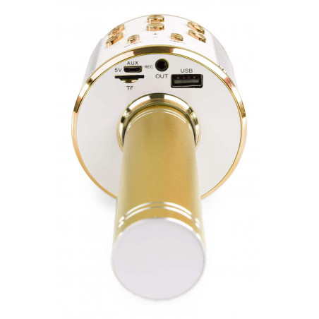 Micrófono de Karaoke con altavoz BT / MP3  Max KM15G, con 28 Luces LED