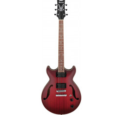 AM53-SRF Guitarra Eléctrica Hollowbody
                                
