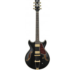 AMH90-BK Guitarra Eléctrica Hollow Body 
                                