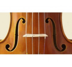 Juego Cello 3/4 Popular C-526
                                