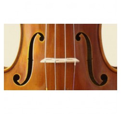 Juego Cello 1/2 Popular C-526
                                