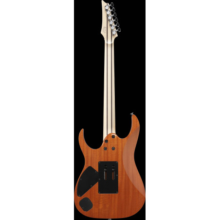 Compra RG5320C-DFM online | MusicSales