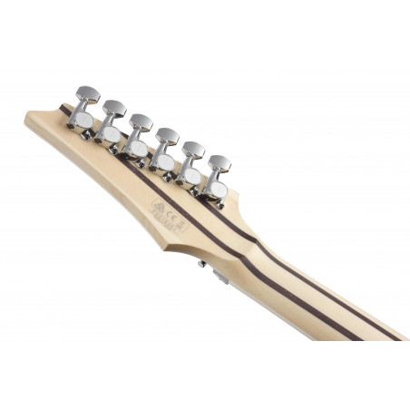 Compra RG5320C-DFM online | MusicSales