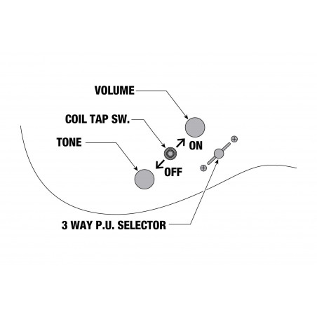 Compra RG5320C-DFM online | MusicSales