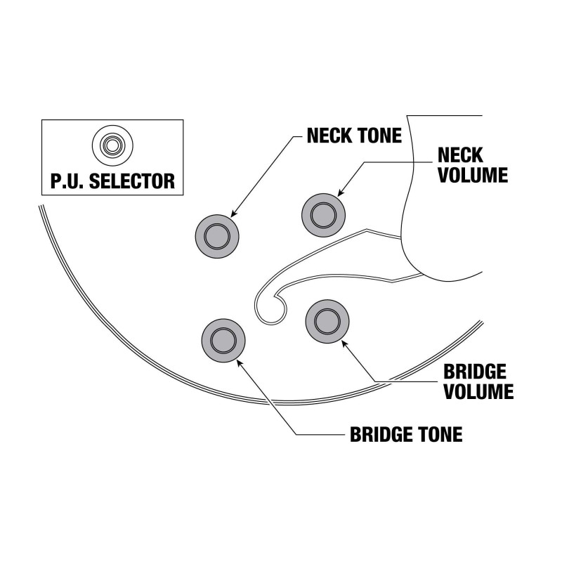 Compra AF2000-BS online | MusicSales