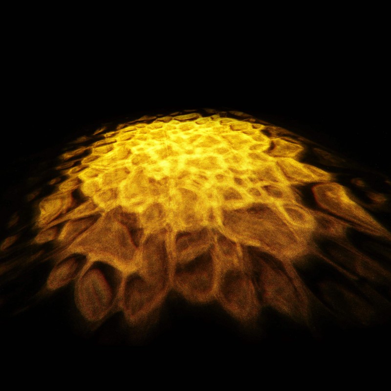 Compra Scuba online | MusicSales