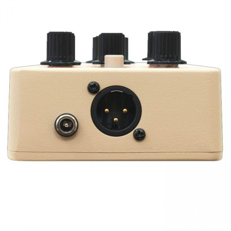 Compra Acoustic Pedal online | MusicSales