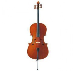 VC5S Cello Estudio 4/4 
                                
