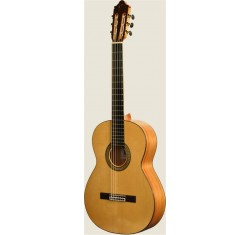 M-5-S Guitarra Flamenca
                                