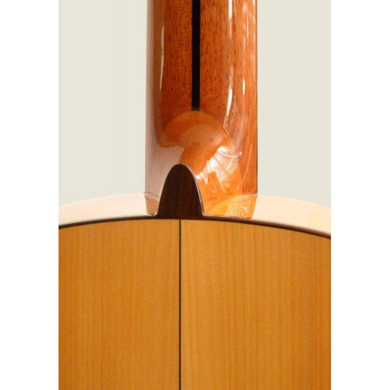 Compra FL-11-S Flex BL online | MusicSales