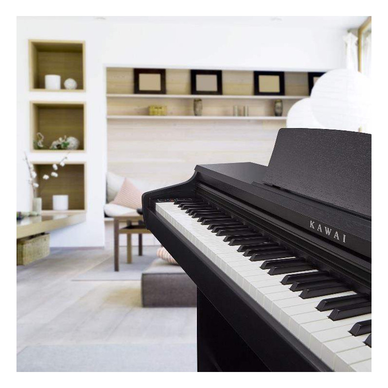 Compra KDP-120B Negro Mate online | MusicSales