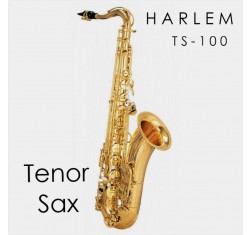TS-100 Saxo tenor 
                                