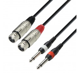 Cable 2x XLR - 2x Jack 1m K3TFP0100 
                                