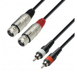 Cable 2x RCA - 2x XLR 1m K3TFC0100 
                                