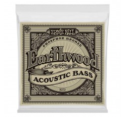 comprar Juego de cuerdas para Bajo Acústico Ernie Ball Earthwood Phosphor Bronze con calibres 45-55-80-95.