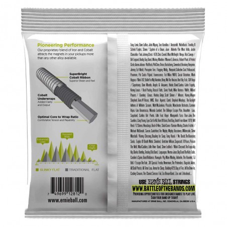 Compra 2812 Regular Slinky Flatwound 50-105 online | MusicSales