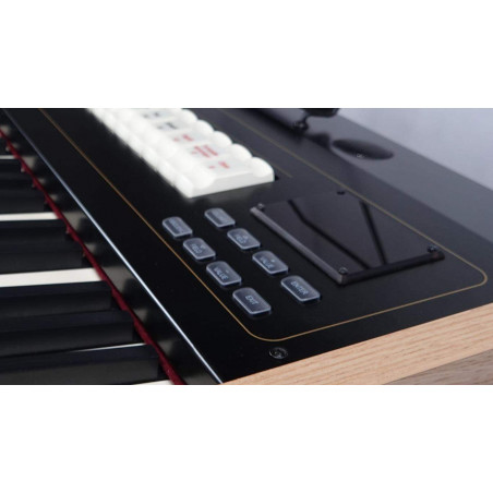 Organo Litúrgico Viscount Cantorum Duo con 2 Teclados de 61 notas, 4 estilos seleccionables, 30 Voces y Transpositor.