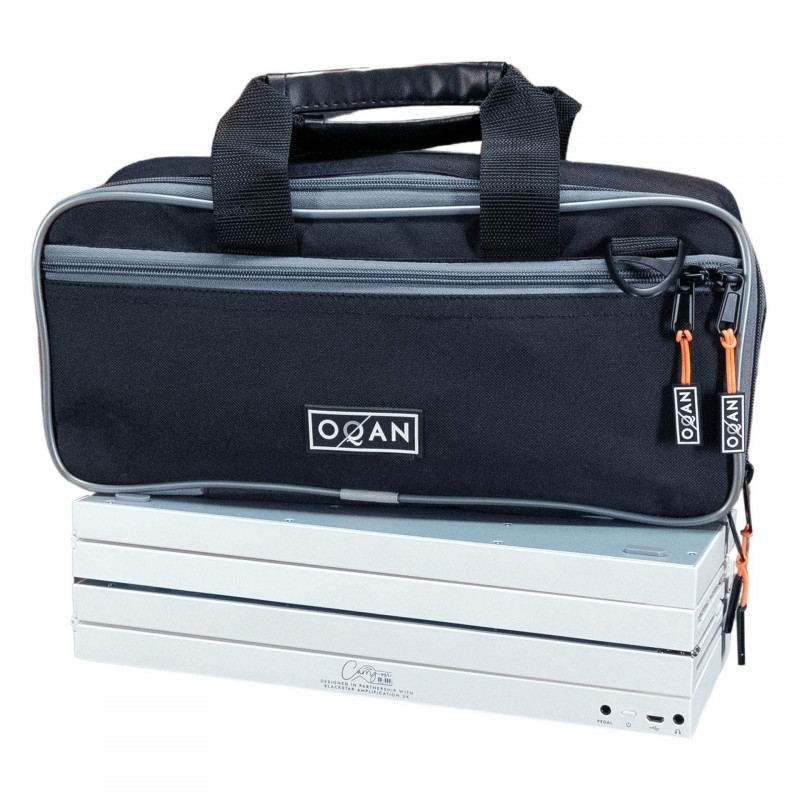 Teclado CARRY-ON 88 + BAG KIT. 88 teclas natural feel ,plegable USB-MIDI, 128 estilos  acompañamiento,polifonia 128.