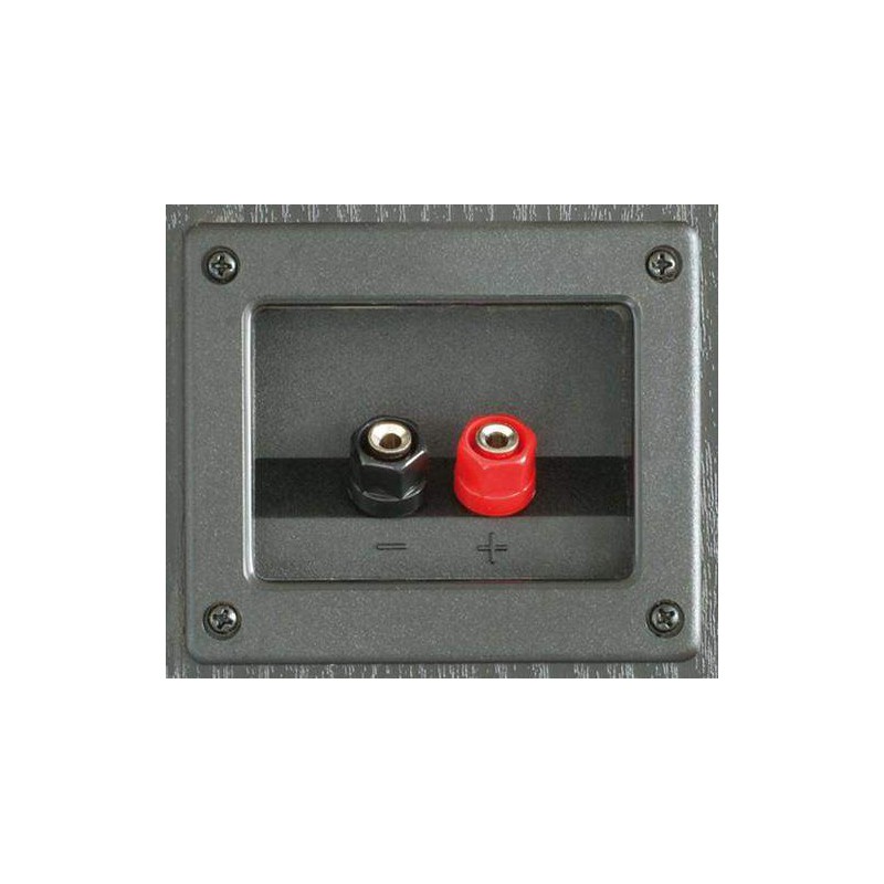 FENTON SHFT60B Altavoz torre Hifi 2 x 6,5" + tweteer Neodimio