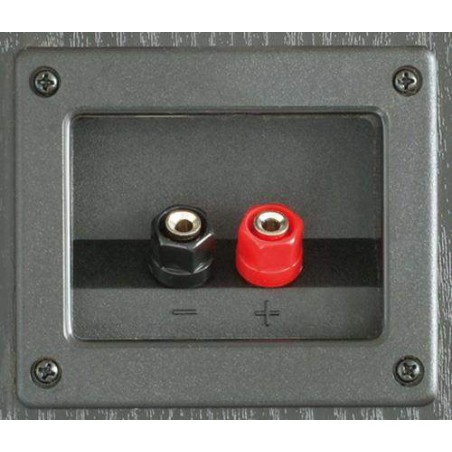 FENTON SHFT60B Altavoz torre Hifi 2 x 6,5" + tweteer Neodimio