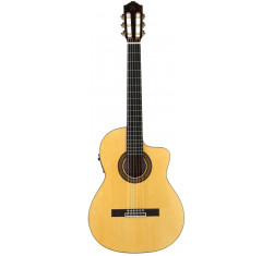 JTF-50CE Guitarra Flamenca Electrificada
                                