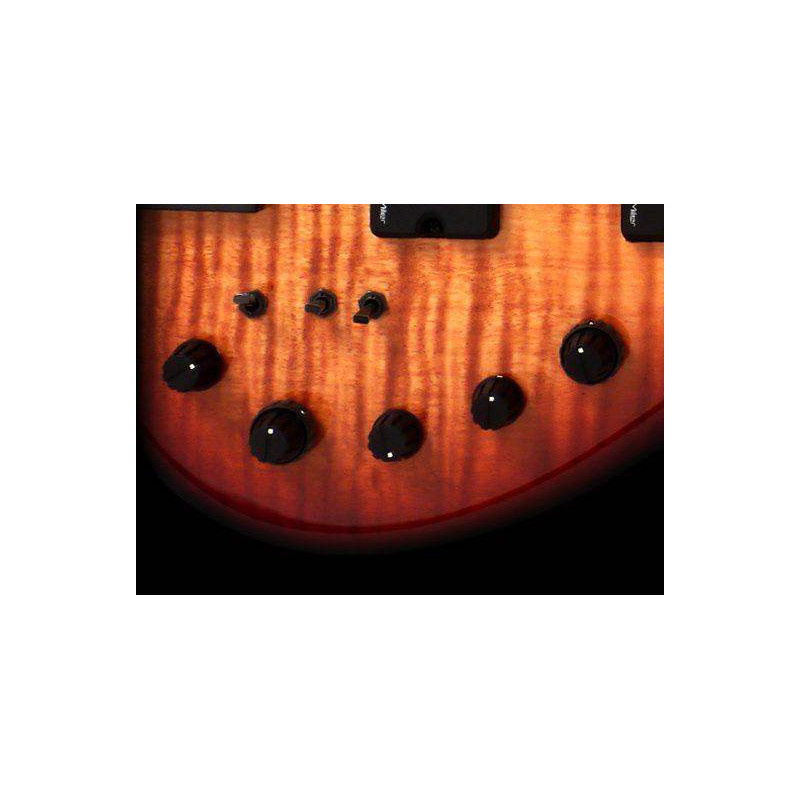 Compra M7 Swamp Ash 5St Natural 2nd Gen online | MusicSales