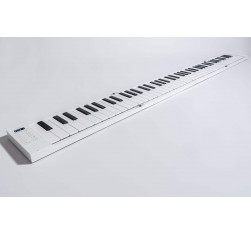 Teclado, piano, plegable, de viaje, compacto, portátil, de 88 teclas, Carry on 88, con funda. 2