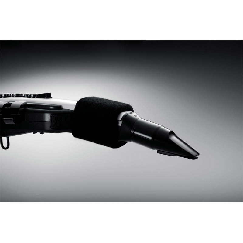 Compra Aerophone AE-20 online | MusicSales