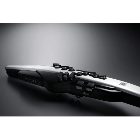 Compra Aerophone AE-20 online | MusicSales Compra Aerophone AE-20 online | MusicSales