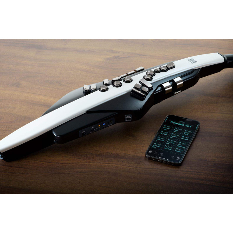 Compra Aerophone AE-20 online | MusicSales