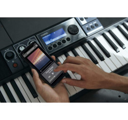 Compra CT-S500 Casiotone online | MusicSales 2