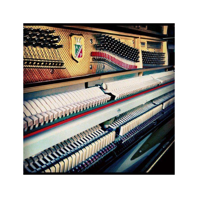 Compra P118 P1 PE online | MusicSales