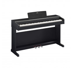 YDP-145 B Piano Digital Arius Negro Mate
                                