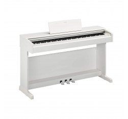 YDP-145 WH Piano Digital Arius Blanco...
                                