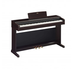 YDP-145 R Piano Digital Arius...
                                