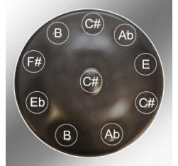 SOMNI Handpan 10 notas (DO#) Celtic minor AMARA ,Ding en C#. Escala: (C#) Ab, B, C#, Eb, E, F#, Ab, B, C#, 2