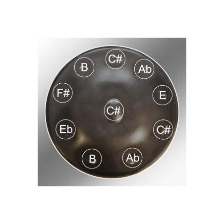 SOMNI Handpan 10 notas (DO#) Celtic minor AMARA ,Ding en C#. Escala: (C#) Ab, B, C#, Eb, E, F#, Ab, B, C#, SOMNI Handpan 10 notas (DO#) Celtic minor AMARA ,Ding en C#. Escala: (C#) Ab, B, C#, Eb, E, F#, Ab, B, C#,