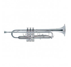 TR300 Trompeta Estudio en Si Bemol
                                