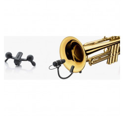 d:vote Core 4099 Trumpet
                                