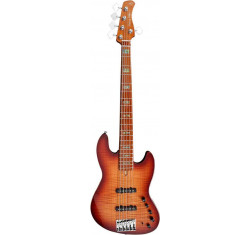 V10 Swamp Ash 5St TS