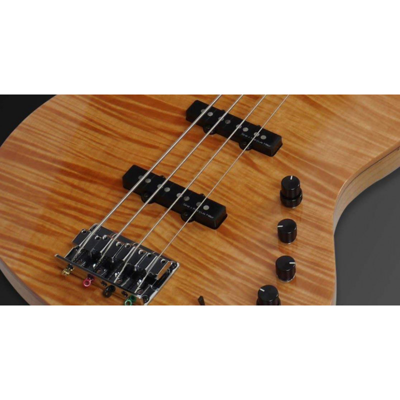 Compra V10 Swamp Ash 4St Natural online | MusicSales