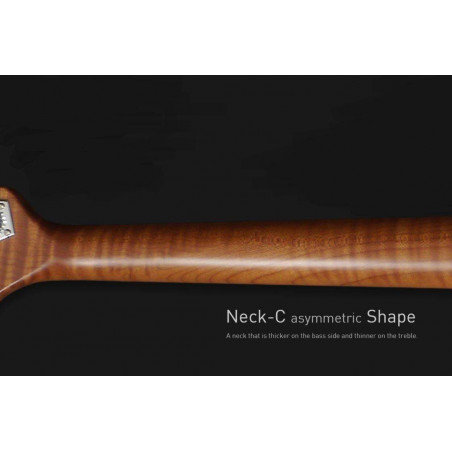 Compra V10 Swamp Ash 4St Natural online | MusicSales