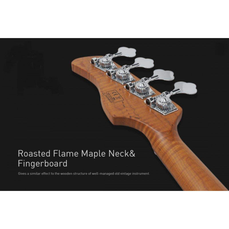 Compra V10 Swamp Ash 4St Natural online | MusicSales